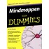 Mindmappen voor Dummies
