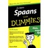 De kleine Spaans voor Dummies
