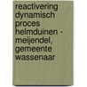 Reactivering dynamisch proces Helmduinen - Meijendel, gemeente Wassenaar by M. Benjamins