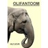 Olifantoom