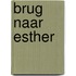 Brug naar Esther