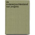 De onderwijsachterstand van jongens