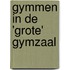 Gymmen in de 'grote' gymzaal