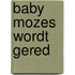 Baby Mozes wordt gered