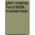 Pilot moeras Houtribdijk, Markermeer