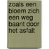 Zoals een bloem zich een weg baant door het asfalt