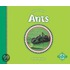 Ants