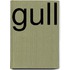 Gull