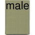 Male