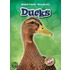 Ducks