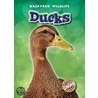 Ducks door Linda Aspen-Baxter