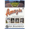 Amazin door Peter Golenbock