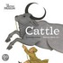 Cattle