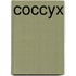 Coccyx