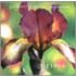 Irises