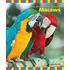 Macaws
