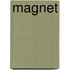 Magnet