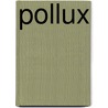 Pollux door Sabine Lüddecke-Neusch