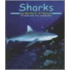 Sharks