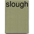 Slough