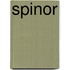 Spinor