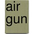 Air Gun