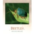 Beetles