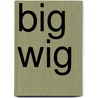 Big Wig door Kathleen Krull