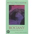 Bociany