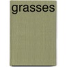 Grasses by June Loves