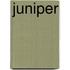 Juniper
