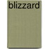 Blizzard