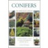 Conifers