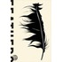 Feathers