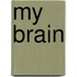 My Brain
