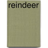 Reindeer by Katie Marsico