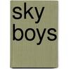 Sky Boys door James E. Ransome
