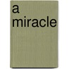 A Miracle by Joe Winter