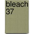 Bleach 37