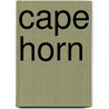 Cape Horn door Felix Riesenberg