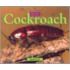 Cockroach