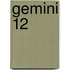 Gemini 12