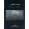 Lightning door Robert Scher