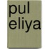 Pul Eliya