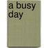 A Busy Day