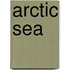 Arctic Sea
