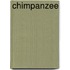 Chimpanzee