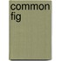 Common Fig