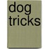 Dog Tricks