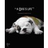 Dog's Life